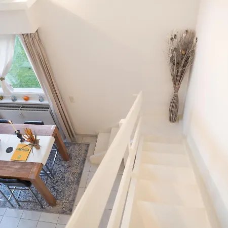 The Duplex